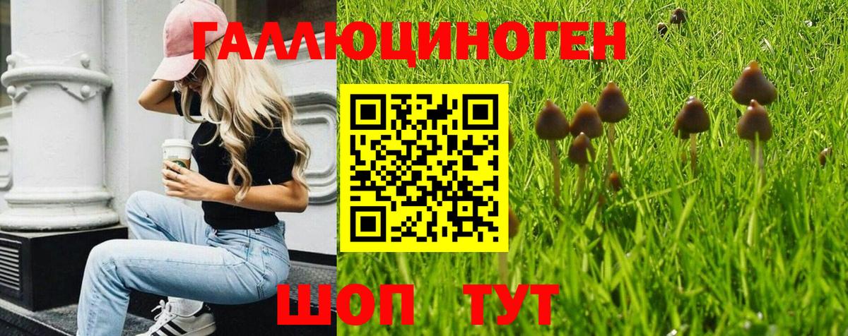 Галлюциногенные грибы MAGIC MUSHROOMS  Вход с VPN  Нижний Новгород  Галлюциногенные грибы MAGIC MUSHROOMS 