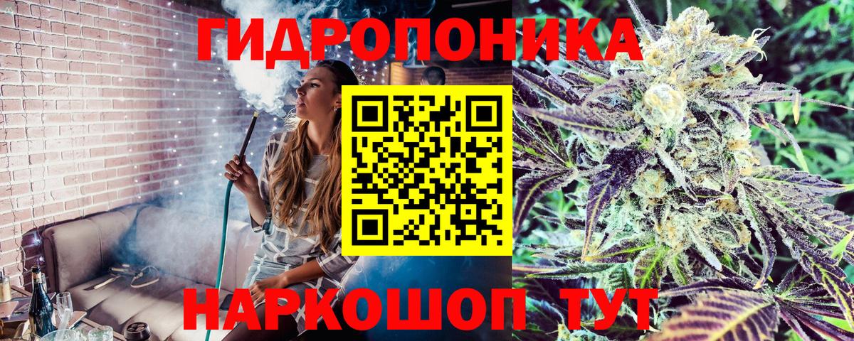 Бошки Шишки план Нижний Новгород